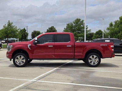 2023 Ford F-150 Platinum