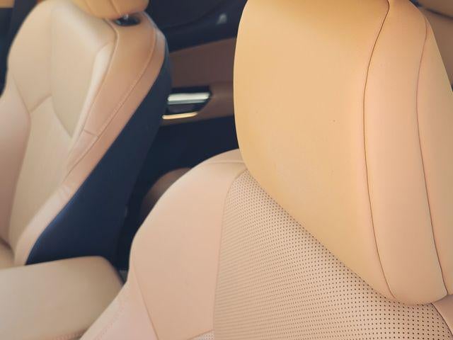 2022 Lexus NX 350 Premium