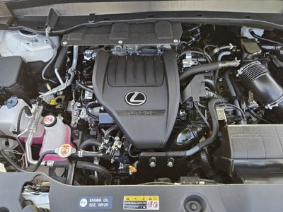 2024 Lexus TX 500h F SPORT Luxury