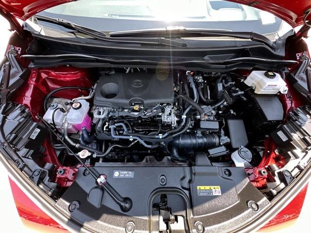 2021 Toyota Sienna Platinum 7 Passenger