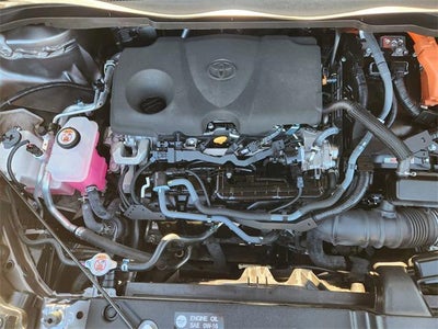 2023 Toyota Sienna Platinum 7 Passenger