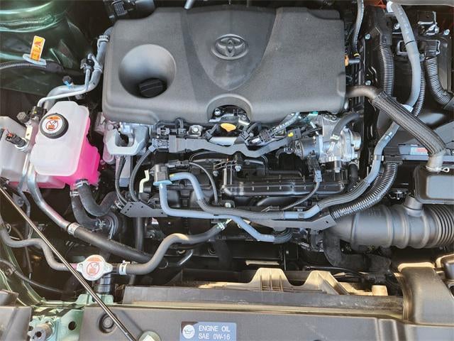 2025 Toyota Sienna XLE 8 Passenger