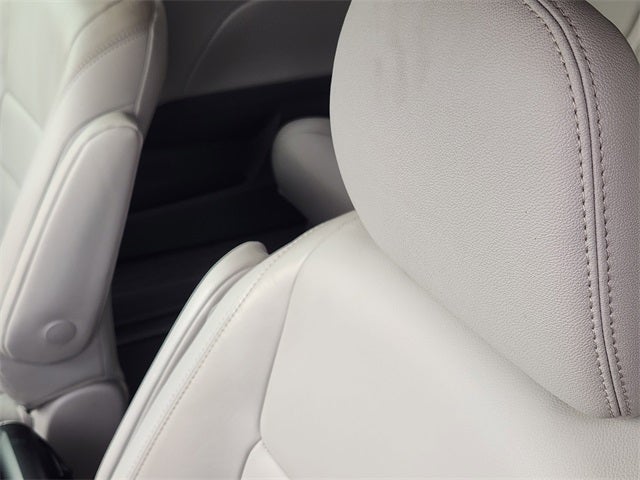 2019 Toyota Sienna XLE 8 Passenger