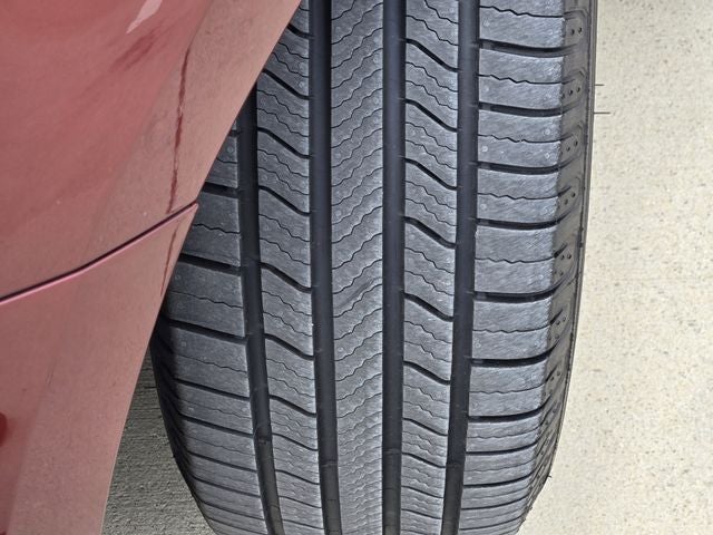 2019 Toyota Sienna XLE 8 Passenger