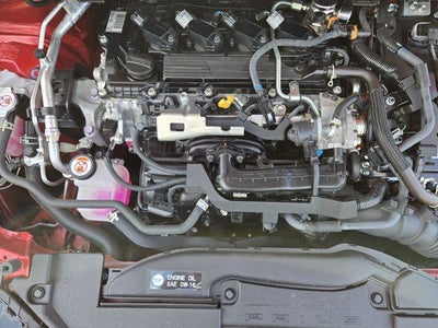 2024 Toyota Prius XLE