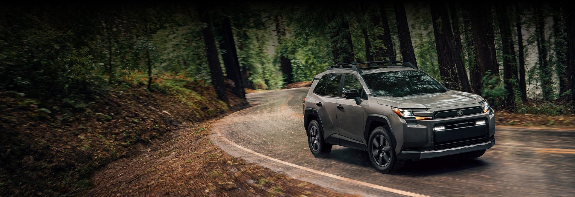 RAV4 Woodland